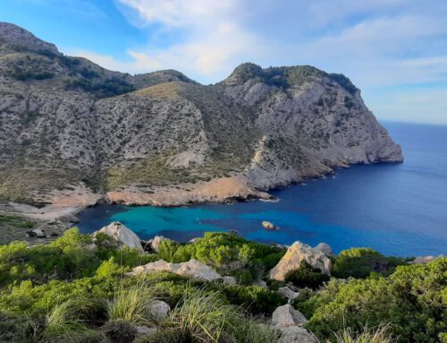 Sustainable real estate investments in Mallorca: Seizing opportunities and taking care of the environment