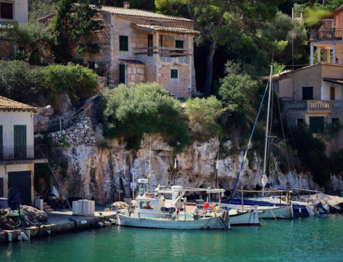 2024 Market Overview: Foreign Investors in Mallorca